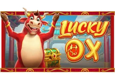 667bet5